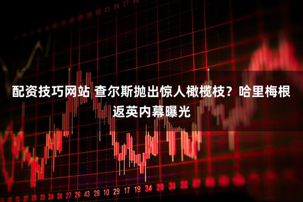 配资技巧网站 查尔斯抛出惊人橄榄枝？哈里梅根返英内幕曝光