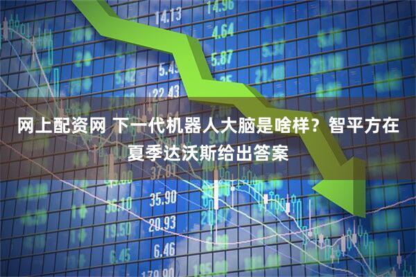 网上配资网 下一代机器人大脑是啥样？智平方在夏季达沃斯给出答案